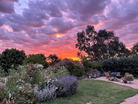 River Gardens Axedale Pet Friendly Farmstay B&B - Accommodation Kalgoorlie 3