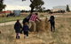 River Gardens Axedale Pet Friendly Farmstay B&B - thumb 1