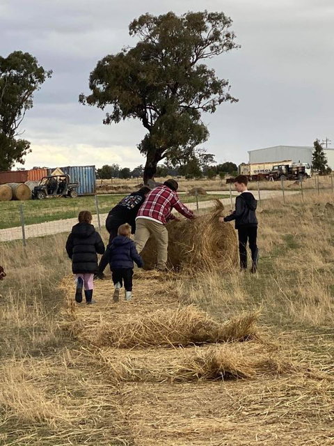 River Gardens Axedale Pet Friendly Farmstay B&B - Accommodation Kalgoorlie 1