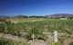 Riversdale Estate Cottages - thumb 1