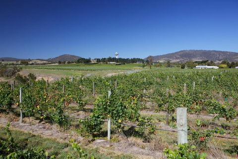 Riversdale Estate Cottages - Accommodation Kalgoorlie 1