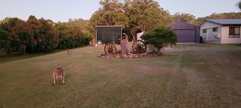 Roo Or 2 On Streeter - Accommodation Kalgoorlie 2