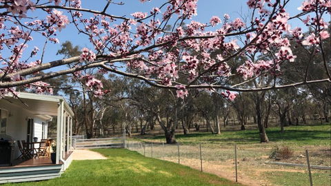 Rosewood Cottage - Accommodation Kalgoorlie 3
