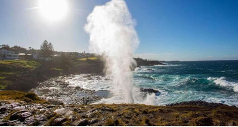 SALTY PALMS -Seaside Studio Apartment - Accommodation Kalgoorlie 2