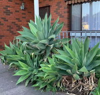 Beautiful Bedroom in Bentleigh East - Accommodation Kalgoorlie