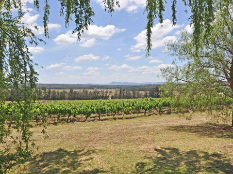 Beggars Bridge Vineyard Homestead W/ Pool + Wifi + Tennis + Vineyard - Accommodation Kalgoorlie 3