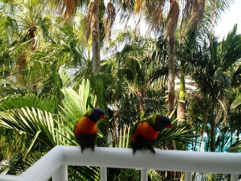 Bel Air Private Condominium - Accommodation Kalgoorlie 2