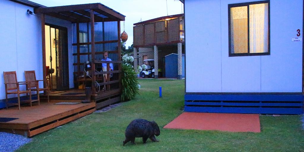 Kelso TAS Accommodation Kalgoorlie