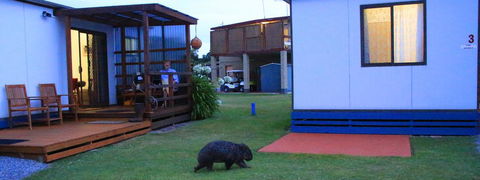 BIG4 Kelso Sands Holiday & Native Wildlife Park - Accommodation Kalgoorlie 2