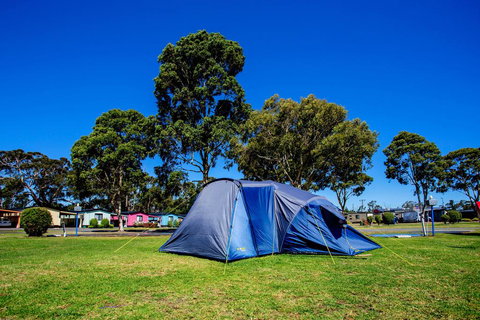 BIG4 Traralgon Park Lane Holiday Park - Accommodation Kalgoorlie 2
