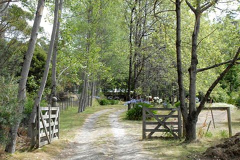 Birdwing Bed And Breakfast Weegena - Accommodation Kalgoorlie 3