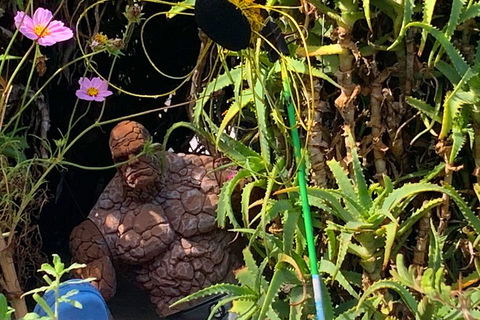 The Fully Local (Private) Tour - Accommodation Kalgoorlie 5