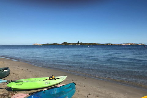 Penguin Island And Fremantle - Canoe, Chocolate & Coffee - Accommodation Kalgoorlie 2