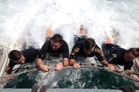 Cruise In Moreton Bay Marine Park And Moreton Island - Accommodation Kalgoorlie 0