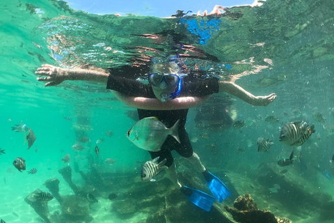 Cruise In Moreton Bay Marine Park And Moreton Island - Accommodation Kalgoorlie 5