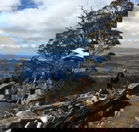 kunanyi / Mt Wellington Explorer Bus - 2 Hour Return Tour - Accommodation Kalgoorlie