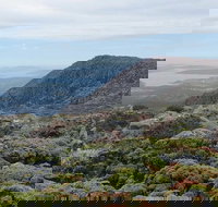 kunanyi/Mt Wellington Explorer Bus - One Way Tour - Accommodation Kalgoorlie