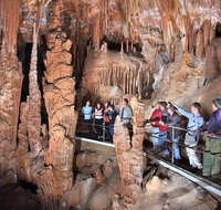 Private Tour Jenolan Caves  Blue Mountains in a day - Accommodation Kalgoorlie