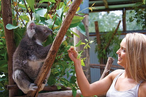 Private Guided Tour: Blue Mountains Tour From Sydney - Accommodation Kalgoorlie 5