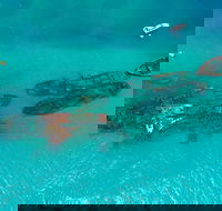 Private Tangalooma Wrecks Tour - Accommodation Kalgoorlie