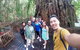 Cairns 4WD Waterfall And Rainforest Tour Including Kuranda Scenic Railway - thumb 0