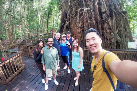 Cairns 4WD Waterfall And Rainforest Tour Including Kuranda Scenic Railway - Accommodation Kalgoorlie 0