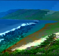 Cairns Reef and Rainforest Combo Daintree Rainforest and the Great Barrier Reef - Accommodation Kalgoorlie