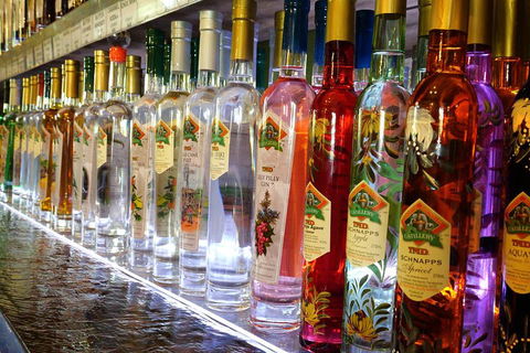 Bar & Brewery Tour - Accommodation Kalgoorlie 4