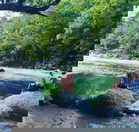 Afternoon Half-Day Daintree Rainforest and River Tour - Accommodation Kalgoorlie