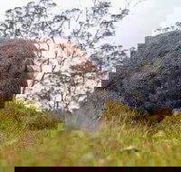 3-Day Cradle Mountain Photography Workshop - Accommodation Kalgoorlie