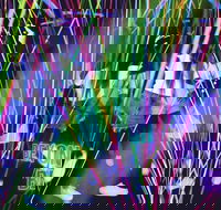 Infinity Attraction - Admission - Accommodation Kalgoorlie