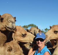 Broome Pre-sunset Camel Tour 30 minutes - Accommodation Kalgoorlie