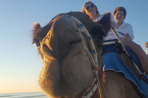 Broome Pre-sunset Camel Tour 30 Minutes - Accommodation Kalgoorlie 1