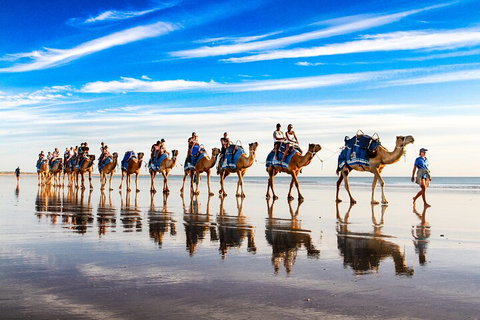 Broome Pre-sunset Camel Tour 30 Minutes - Accommodation Kalgoorlie 2