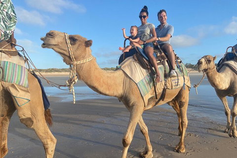 Broome Pre-sunset Camel Tour 30 Minutes - Accommodation Kalgoorlie 3