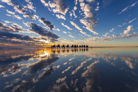 Broome Pre-sunset Camel Tour 30 Minutes - Accommodation Kalgoorlie 4
