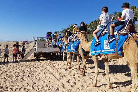 Broome Pre-sunset Camel Tour 30 Minutes - Accommodation Kalgoorlie 5