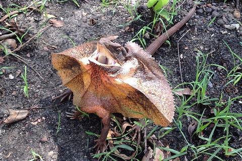 Litchfield National Park And Jumping Crocodile Cruise - Accommodation Kalgoorlie 1