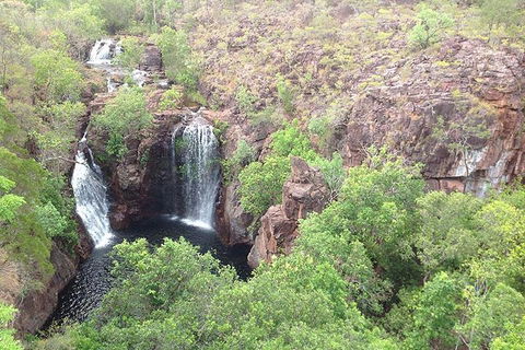 Litchfield National Park And Jumping Crocodile Cruise - Accommodation Kalgoorlie 4