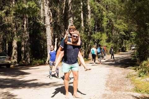 7-Day Best Of Tasmania Adventure Experience From Hobart (flexible Ticket) - Accommodation Kalgoorlie 5