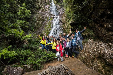 5-Day Lap Of Tasmania Tour From Hobart (flexible Ticket) - Accommodation Kalgoorlie 0