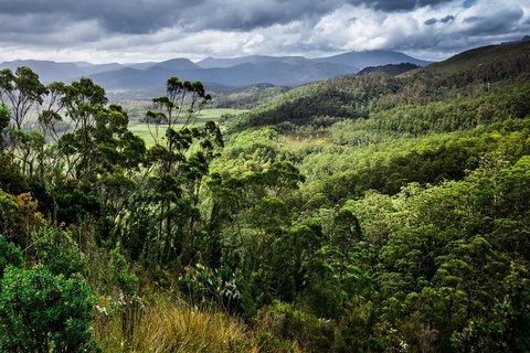 5-Day Lap Of Tasmania Tour From Hobart (flexible Ticket) - Accommodation Kalgoorlie 2