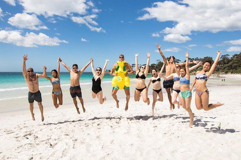 5-Day Lap Of Tasmania Tour From Hobart (flexible Ticket) - Accommodation Kalgoorlie 4