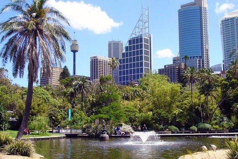 Private Sydney Half Day Tour Including Sydney Opera House And Bondi Beach - Accommodation Kalgoorlie 4
