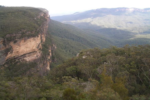 Full-Day Private Blue Mountains Tour With River Cruise - Accommodation Kalgoorlie 3
