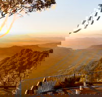 O'Reilly's  Lamington National Park incl. Alpaca Farm  Vineyard - Accommodation Kalgoorlie