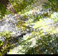 Fraser Island 4WD Tour from Noosa - Accommodation Kalgoorlie