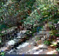 Fraser Island 4WD Tour from Rainbow Beach - Accommodation Kalgoorlie