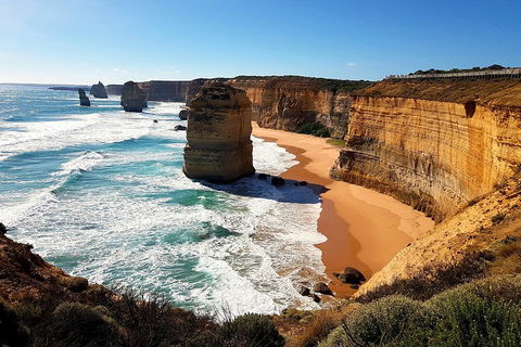 Helicopter Flight + Fine Dining Private Luxury Great Ocean Road Tour - Accommodation Kalgoorlie 4