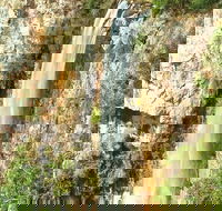 Private Tour - Rainforest  Waterfalls Extravaganza - Accommodation Kalgoorlie